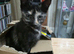 Loving Home for Maisie