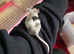 I have mice, nice colours