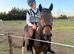 13.3 New forest mare