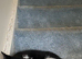 2 male kittens