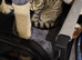 Bengal mixx girl
