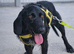 ARWEN &ndash; ONLY 13 MONTHS OLD&hellip; AND ALREADY SURVIVED HELL