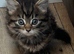 Beautiful babies