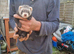 Polecats for sale