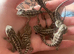Baby bearded dragons