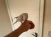 Male Quaker and cage