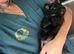 5 star ️ Toy shihpoo puppies