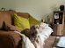 Isabella Tan Dachshund girl for sale