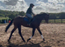 Smart Allrounder In The Making