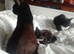 Kittens need a forever home