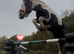 Gypsy cob (mare) 14hh