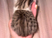 Kittes