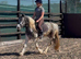 Lovely sweet little pony