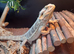 2 year old female beardie and full 4ft viv and stand £350