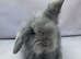 Teddywidder bunnies ready to go now