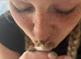 Crested Gecko with Enclosure