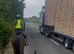Stunning gelding available, 16.1 , for yr old , no vices lumps or bumps !
