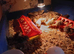 Cortinex quail chicks for sale