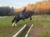 Super safe maxi cob
