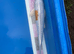 Koi carp 47cm Doitsu hariwake