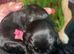 4 weeks old