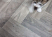 Lovely little boy kitten