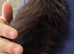 4 adorable kittens