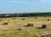 Meadow hay small square bales £2 off the field