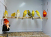 Canaries
