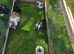 Mini lops