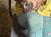 2 guinea pig boers