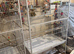 2 large bird cages plus 2 playstands