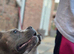 Sofia is looking for a suitable family