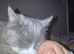 Charlie