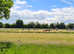 Boutique Livery yard Nestled on a private estate within the Cotswolds
