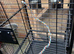Large Flight cage