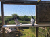 6 Racing pigeons for sale