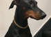 Royal KC Doberman puppies