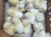 Hubbard Chicks - table birds hatching date 22.09.2026