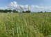 Seed Hay and Haylage for Sale 2025 harvest