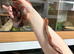 Lots of snakes for Rehome have some vivs