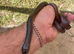 Mussurana bicolor