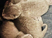 Pure Breed Russian Blue Kittens