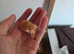 Female mice for sale