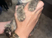 5 kittens