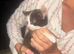 Kittens ready now! ~2 LEFT