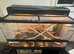 3ft exoterra Viv & stand