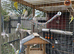 Closing down Aviary