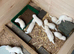 Ferret kits