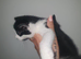 Kittens mix